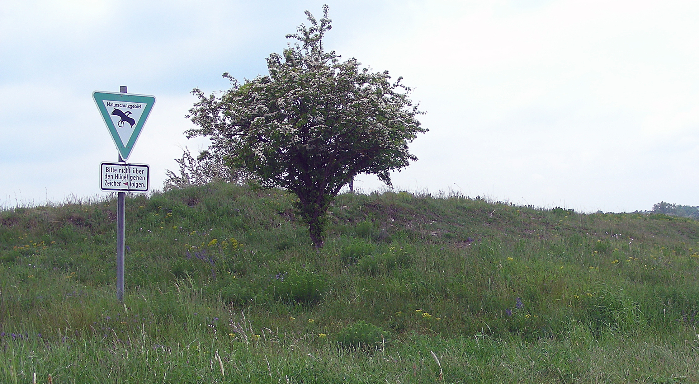 Naturschutzgebiet